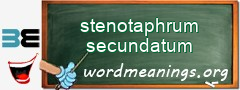 WordMeaning blackboard for stenotaphrum secundatum